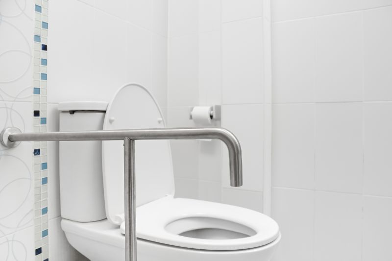 Multiple Grab Bars in Use